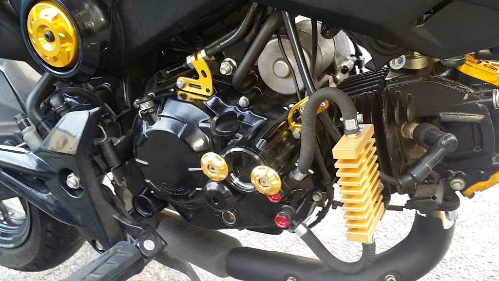 Bonsai-Motorrder Blog